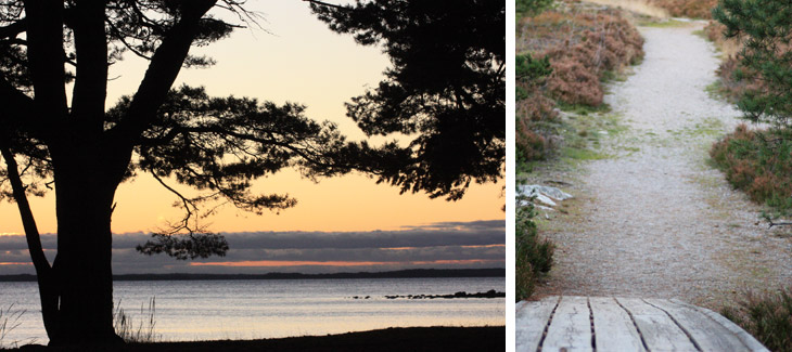 Collage - picture of a sunset, overlooking the sea, and a path leading to the forest.